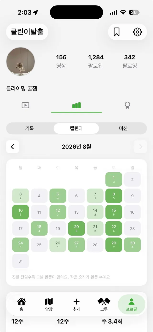 프로필 캘린더 화면 — 완등이 많은 날일수록 진해지는 잔디 캘린더
